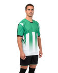 Camiseta de Futbol y Short - Verde Blanco Negro - Watford