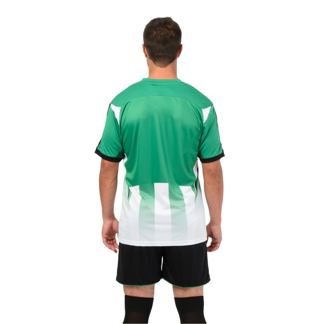 Camiseta de Futbol y Short - Verde Blanco Negro - Watford