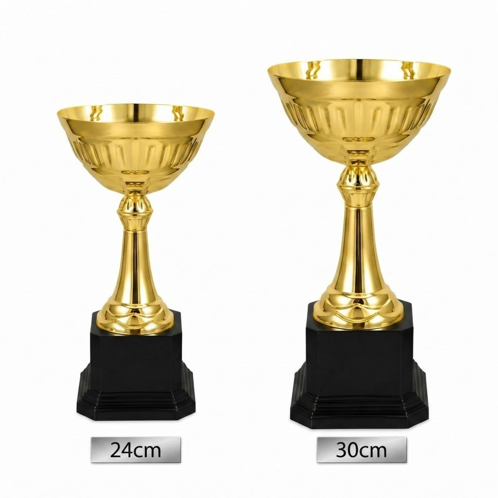 Trofeo Copa Metal Dorado Base Plástica 24 y 30 cm